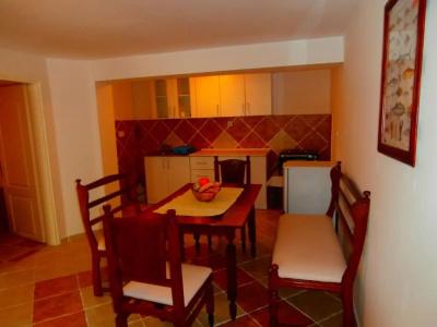 Apartments Pejanovic - 15