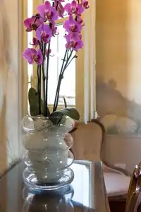 Maison de Charme Alla Corte degli Angeli - 26