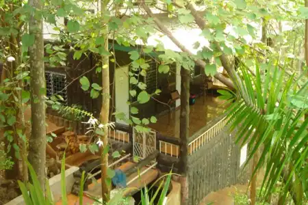 Sam's Jungle Guesthouse - 15