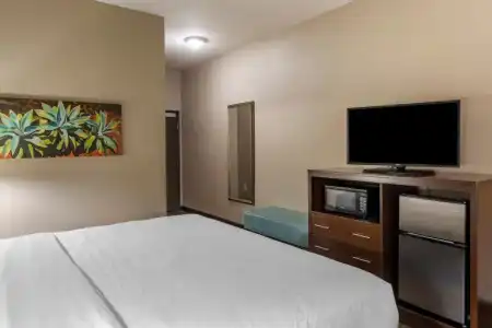 Holiday Inn Express & Suites Indio - Coachella Valley by IHG - 44