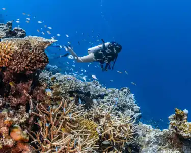 Park Hyatt Maldives - 27