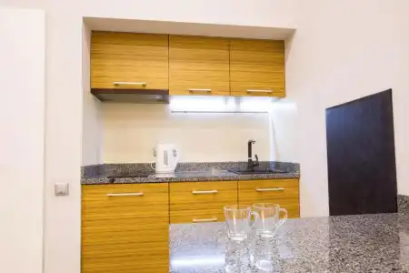 Pushkinskaya Apartments - 45