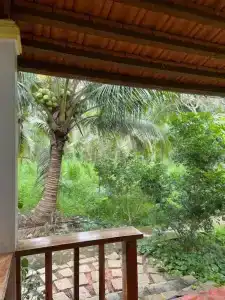 Phu Quoc Pomelo Garden - 57