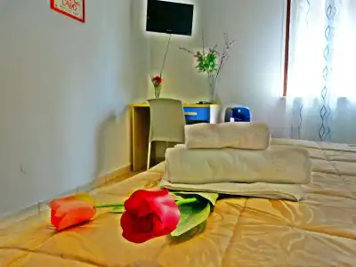 B&B Il Tulipano - 3