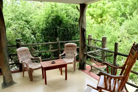Hungry Lion Resort and Restaurant - 12