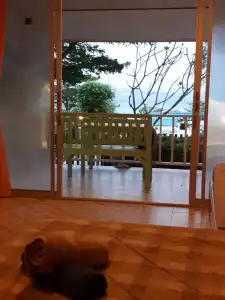 Insook Ko Larn Guesthouse - 5