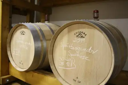 Schwarzer Adler Weingut - 9
