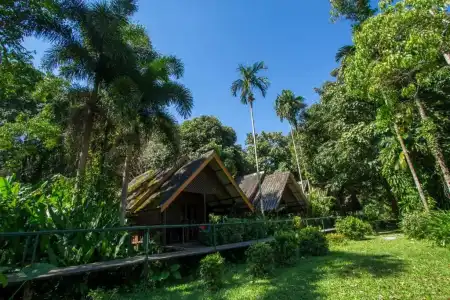 Khao Sok Riverside Cottage - 77