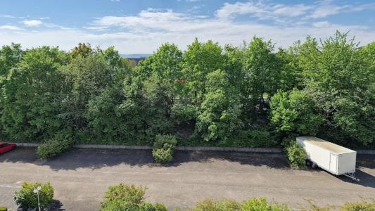 Fortuna Reutlingen-Tübingen - 31