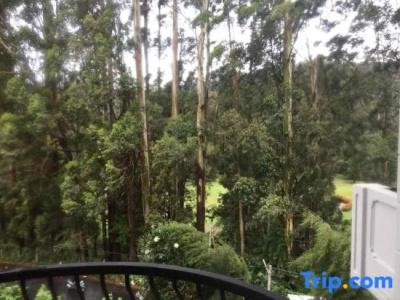 Panorama Green View - 48