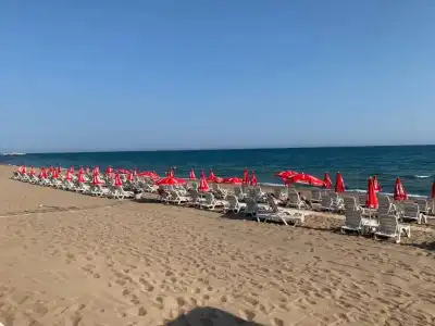 Bellissima - 9