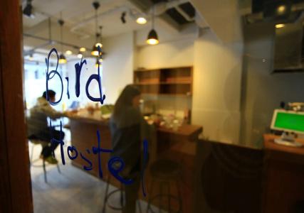Bird Hostel - 25