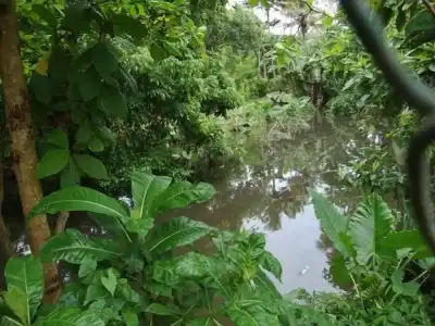 Riverside Cabanas - 18