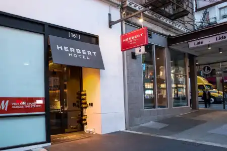 The Herbert - 14