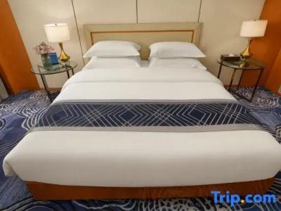 SciTechˑChina NARADA - 230