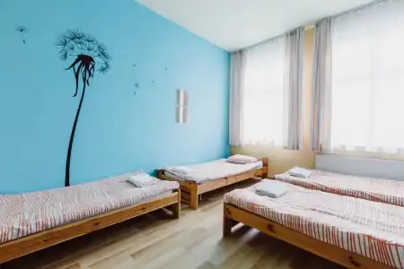 Hostel Tara - 4
