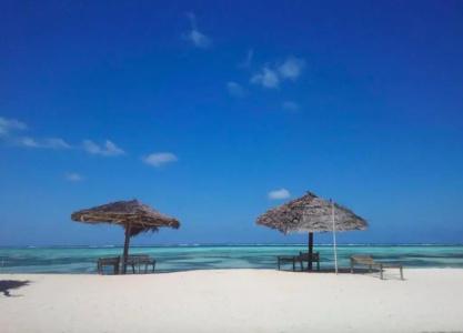 Nest Style Beach Zanzibar - 86