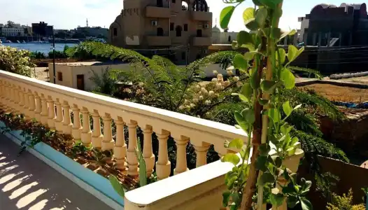 Villa Diletta Luxor - 11