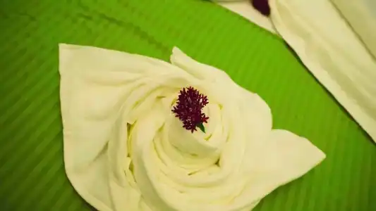 Green Garden - 56