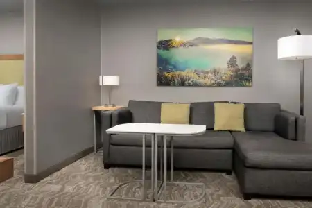 SpringHill Suites by Marriott Boise ParkCenter - 59