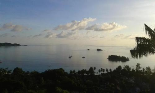Mango Lodge - 25