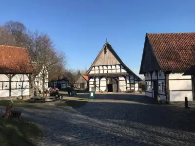 Wald"Peter Aufm Berge" - 6