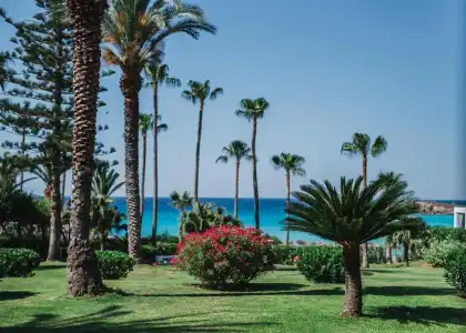 Nissi Beach Resort - 43