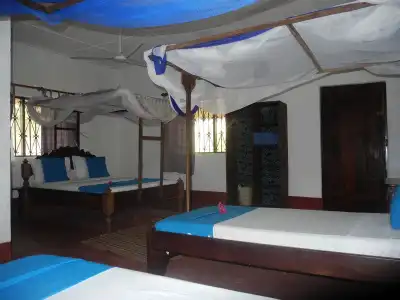 Sazani Beach Lodge and Tidal Lounge - 1