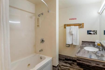 Anaheim Discovery Inn and Suites - 29