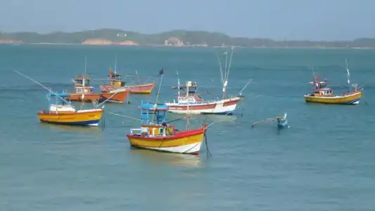Weligama Ocean Breeze - 10