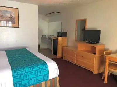 Pine Tree Inn - 37