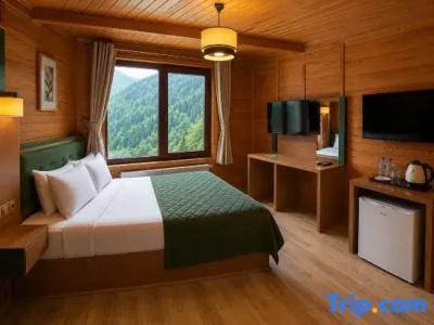 Ayder Doga Resort - 123