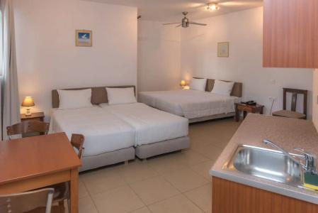 Pal Beach - 41