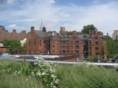 The High Line - 7
