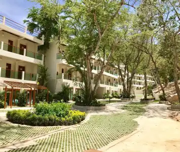Sealey Resort Koh Larn - 9