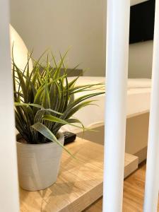 Holi City Apart Berlin - 56