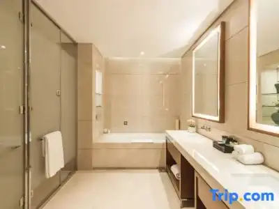Pins De La Brume - 37