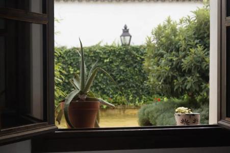Apartamentos Los Patios de la Judería - 132