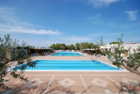 Camping La Pineta - 4