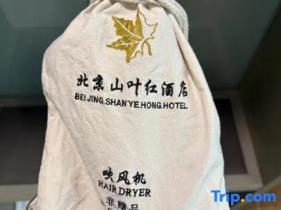 Shanshui Trends - 48