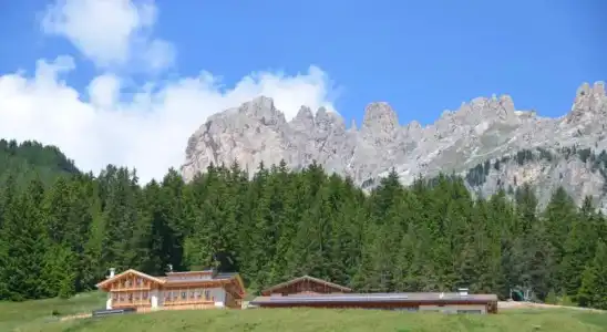 Agritur Majon da Mont - 5