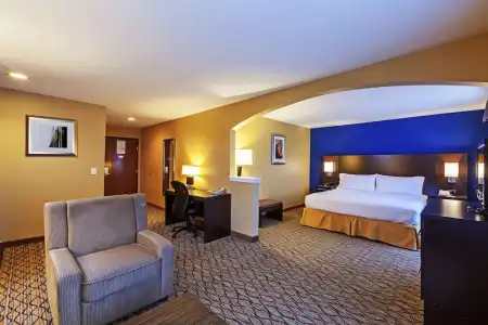 Best Western Premier Houston Downtown/Convention Center - 77
