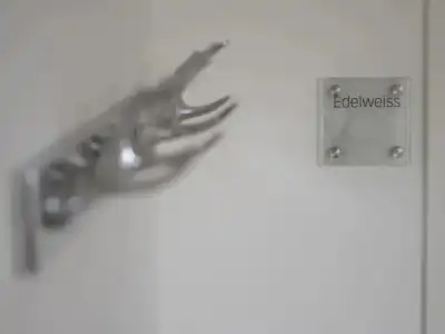 Edelweiss - 146