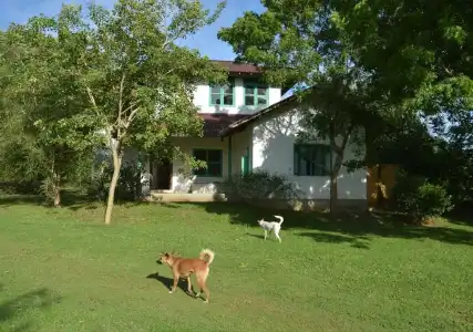 Back of beyond -  Wellness Retreat - 61