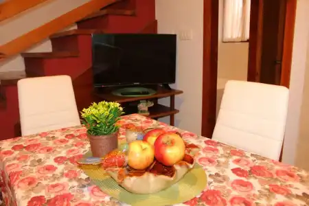 Guest House Tomanovic - 106