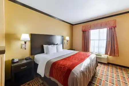 Quality Inn & Suites Lubbock South - 57