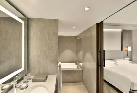 Hyatt Regency Delhi - 8