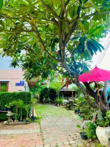 Thai Guesthouse - 36