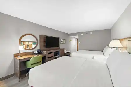 Hampton Inn by Hilton Los Angeles Airport - 39