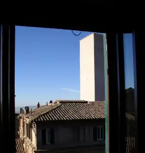 Primavera Mini - 19